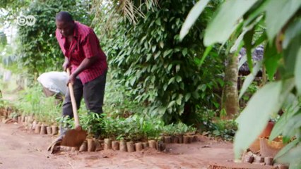 Selva Maya: un ecosistema en peligro | Global 3000