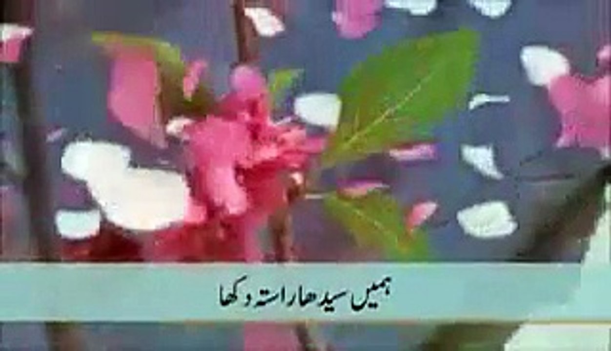 VID-20151225-WA0001.mp4