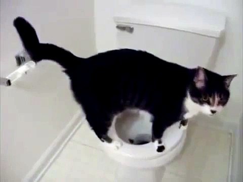 Vo-Do-Do-De-O Blues - California Ramblers (Adrian Rollini, Chelsea Quealey, Bobby Davis, S