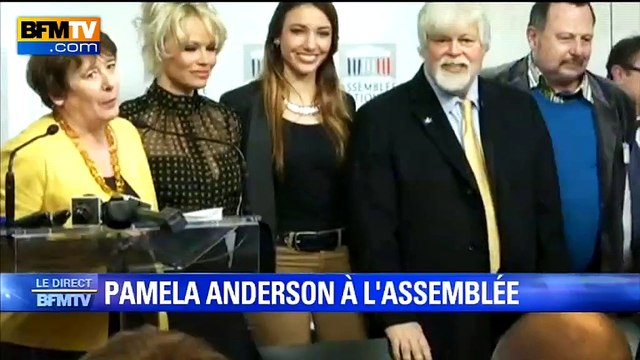 Pamela Anderson à l'Assemblée pour s'attaquer au foie gras