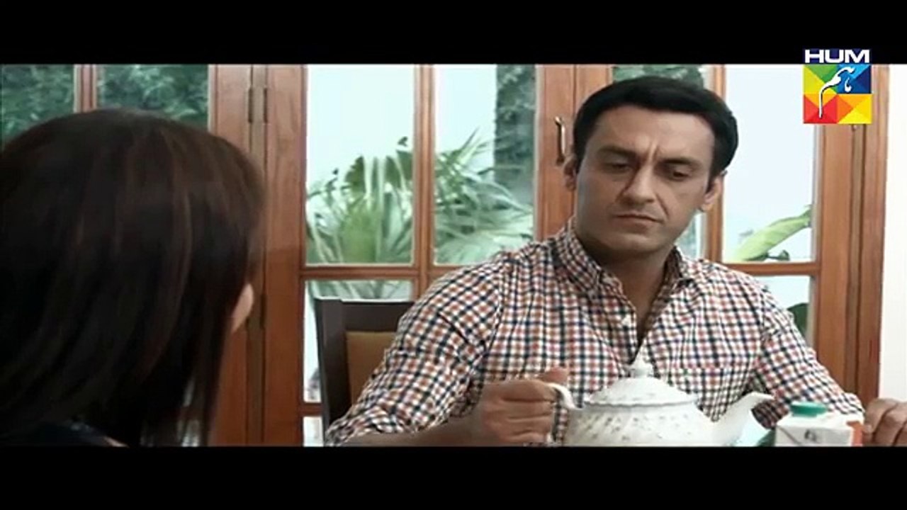 Lagao Episode 02 Full Hum TV Drama 19 Jan 2016