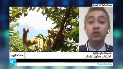 المستوطنات الإسرائيلية.. الشركات وحقوق الإنسان