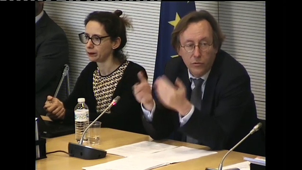 Intervention de Jean-Patrick GILLE devant la Commission des Affaires européennes - Assurance chômage européenne