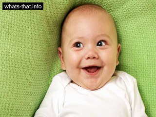 lol kids are liek flowers and you will love these funny kids