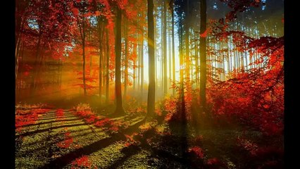 Lovely Hills on our World