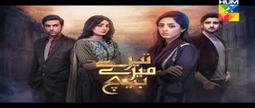 Tere Mere Beech Episode 3 Promo Hum TV Drama 6 Dec 2015