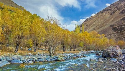 Ghizer Valley
