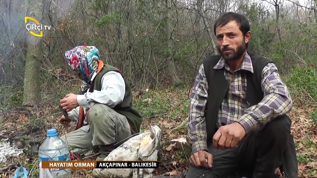 HAYATIM ORMAN-4-AKÇAPINAR-Gönen-BALIKESİR