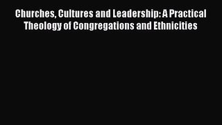 [PDF Download] Churches Cultures and Leadership: A Practical Theology of Congregations and