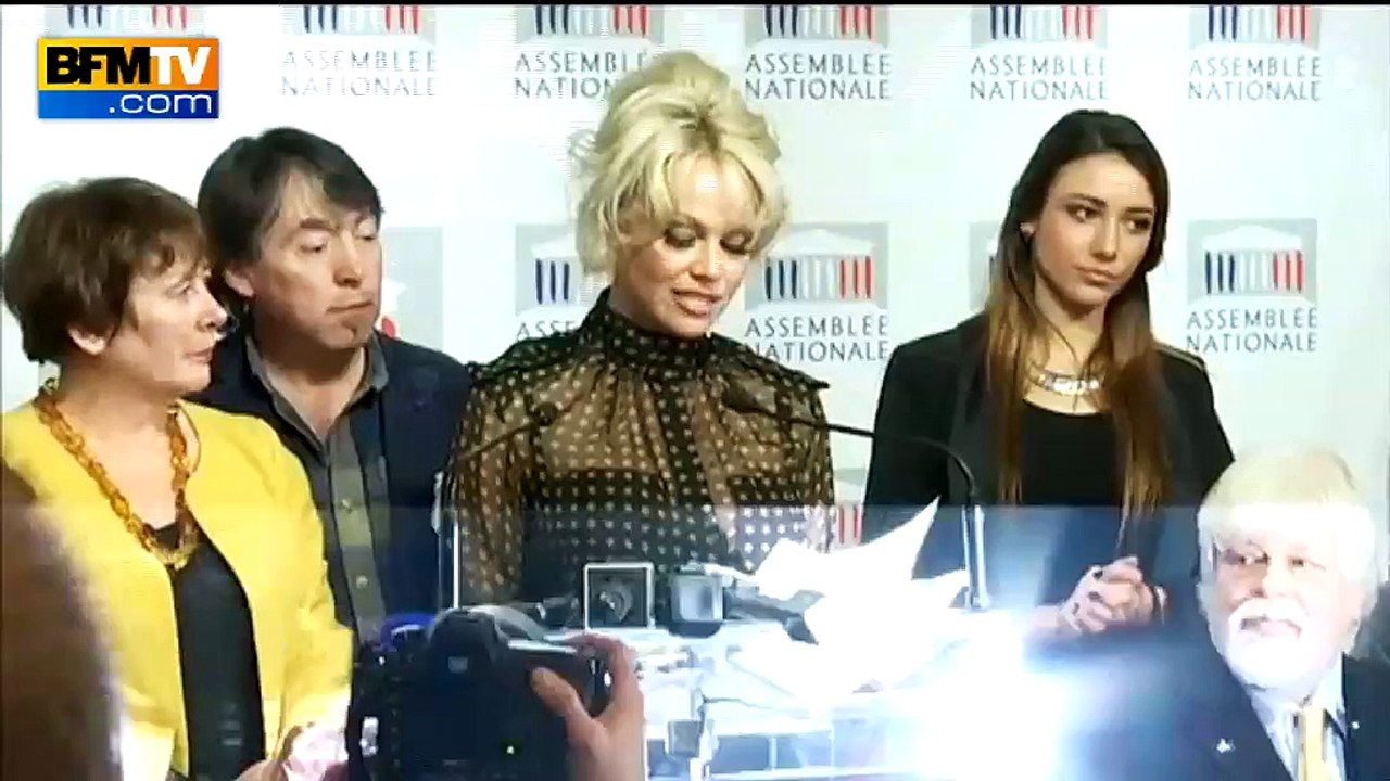Agitation à l’Assemblée Nationale avec la venue de Pamela Anderson