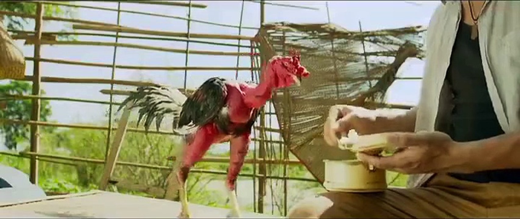 Fighter Chicken