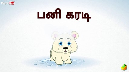 Polar Bear (பனி கரடி) - Animals (விலங்குகள்) - Tamil Spe