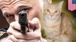 Cat-killer cop could face charges as DA investigates shooting
