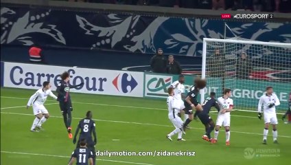 David Luiz Super Goal HD - Paris Saint Germain 1-1 Toulouse 19.01.2016 HD