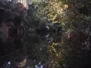 Tortuguero - Costa Rica