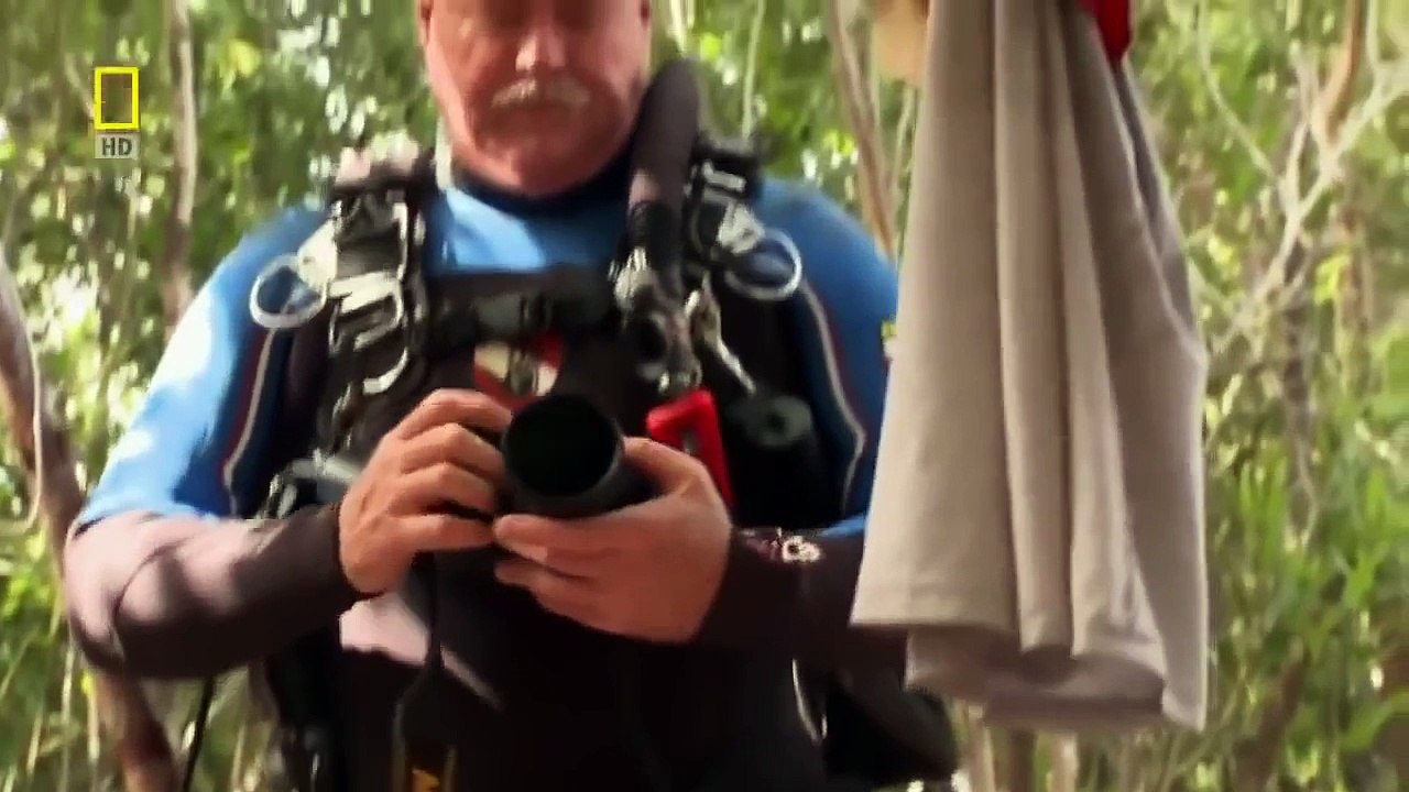 The Lost World Underwater - Documentary HD