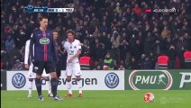 Zlatan Ibrahimovic Winning Goal - Paris Saint Germain 2-1 Toulouse 19.01.2016