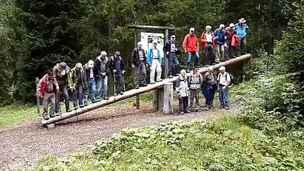 Des vieux chutent en voulant faire de la balançoire sur un tronc d'arbre