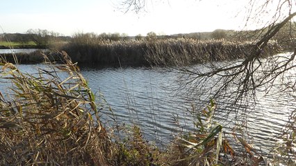 Gerstenberg Runde Schwaben (Kettershausen / Oberroth)