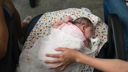 What you need to know about the Zika virus