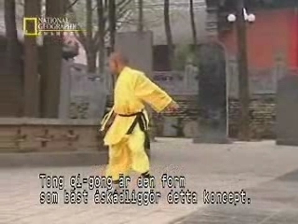 Kungfu-fighting