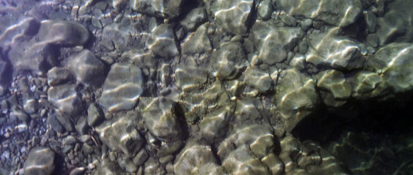 L'EAU (Court métrage) - Bande-annonce