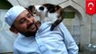 Istanbul mosque opens doors to stray cats trying to keep warm in the winter