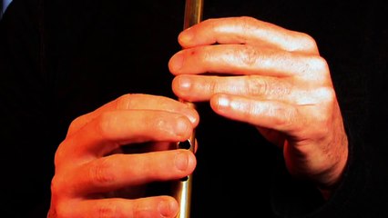 Egan's Polka - flûte irlandaise pour débutants