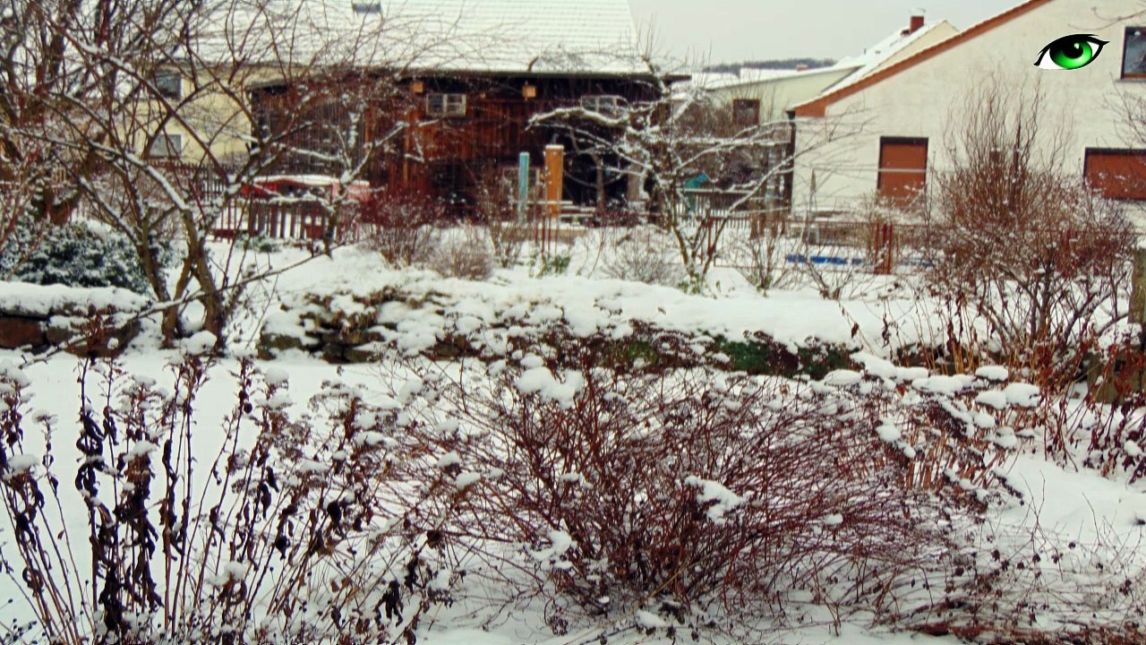 Januar 2016 - Obergurig im Schnee