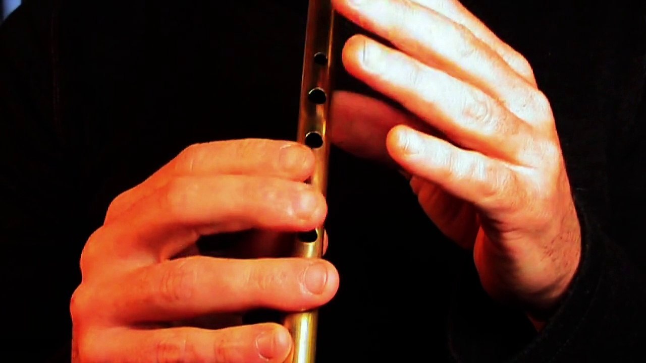 The Fairy Reel - musique irlandaise - Tradschool