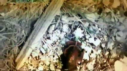 Serial Killers - Angel Maturino Reséndiz (The Railroad Killer) - Documentary