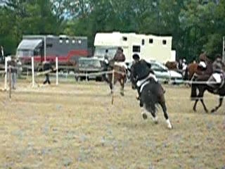 championnats departementaux CSO