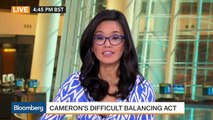 U.K. PM David Camerons Four Key EU Demands