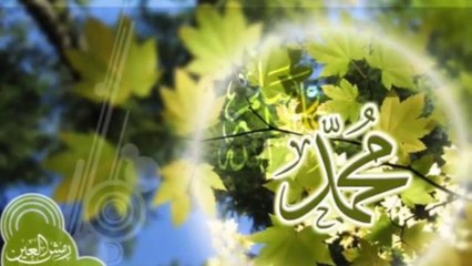Beautiful New Punjabi NAAT 2016 (Qasam KHUDA Di Us Din To) by Muhammad Zargham Haider Mustafavi