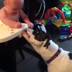 Las risas que nos alegran el día