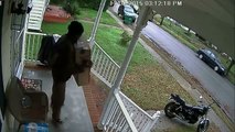 LiveLeak - Porch Pirate On A Bike