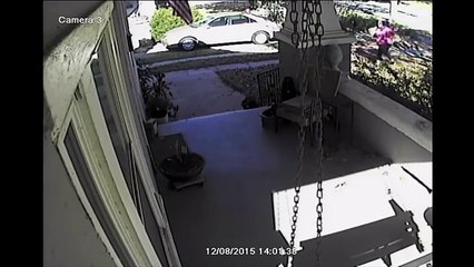 LiveLeak - Texas Size Porch Pirate