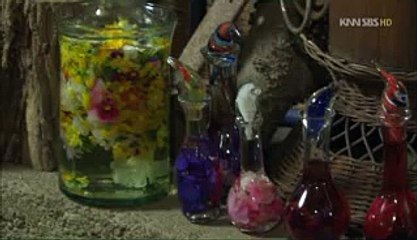 역삼오피@비너스 밤전 울산하이쩜오み혜화동오피