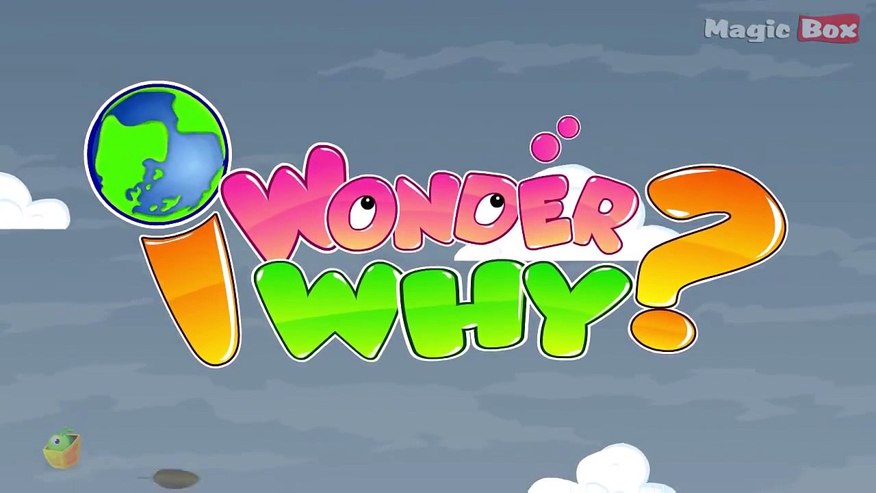 Why Do We Give Names To Hurricanes? - I Wonder Why - Amazing & Interesting Fun Facts Video For Kids