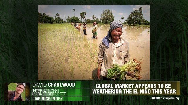 Рис разбивает рыночный тренд