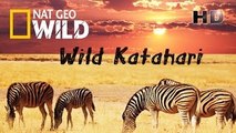 Wild Kalahari ( Nat Geo WILD )(1)