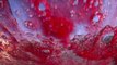 Dashcam Captures Red Wine Spillage in Adelaide