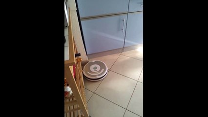 Funny Momnets Cats Roomba Robots Video by Every New