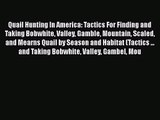 Quail Hunting In America: Tactics For Finding and Taking Bobwhite Valley Gamble Mountain Scaled