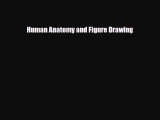 PDF Download Human Anatomy and Figure Drawing PDF Full Ebook