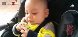 Baby Eats Lemon - A Babies Eating Lemons For The First Time Compilation 2016  => MUST WATCH