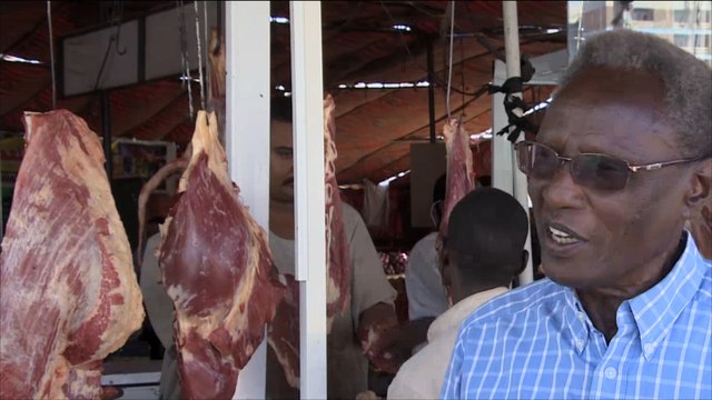 تحديات تواجه قطاع الثروة الحيوانية بالسودان