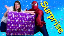 GIANT SURPRISE TOYS BOX ❤ Huge Surprise Present with NEW 2016 Sofia The First Toys by DisneyCarToys