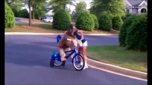 Funny Animals Compilation I