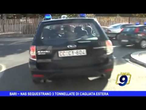 Bari | Nas sequestrano più di tre tonnellate di cagliata estera